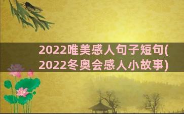 2022唯美感人句子短句(2022冬奥会感人小故事)